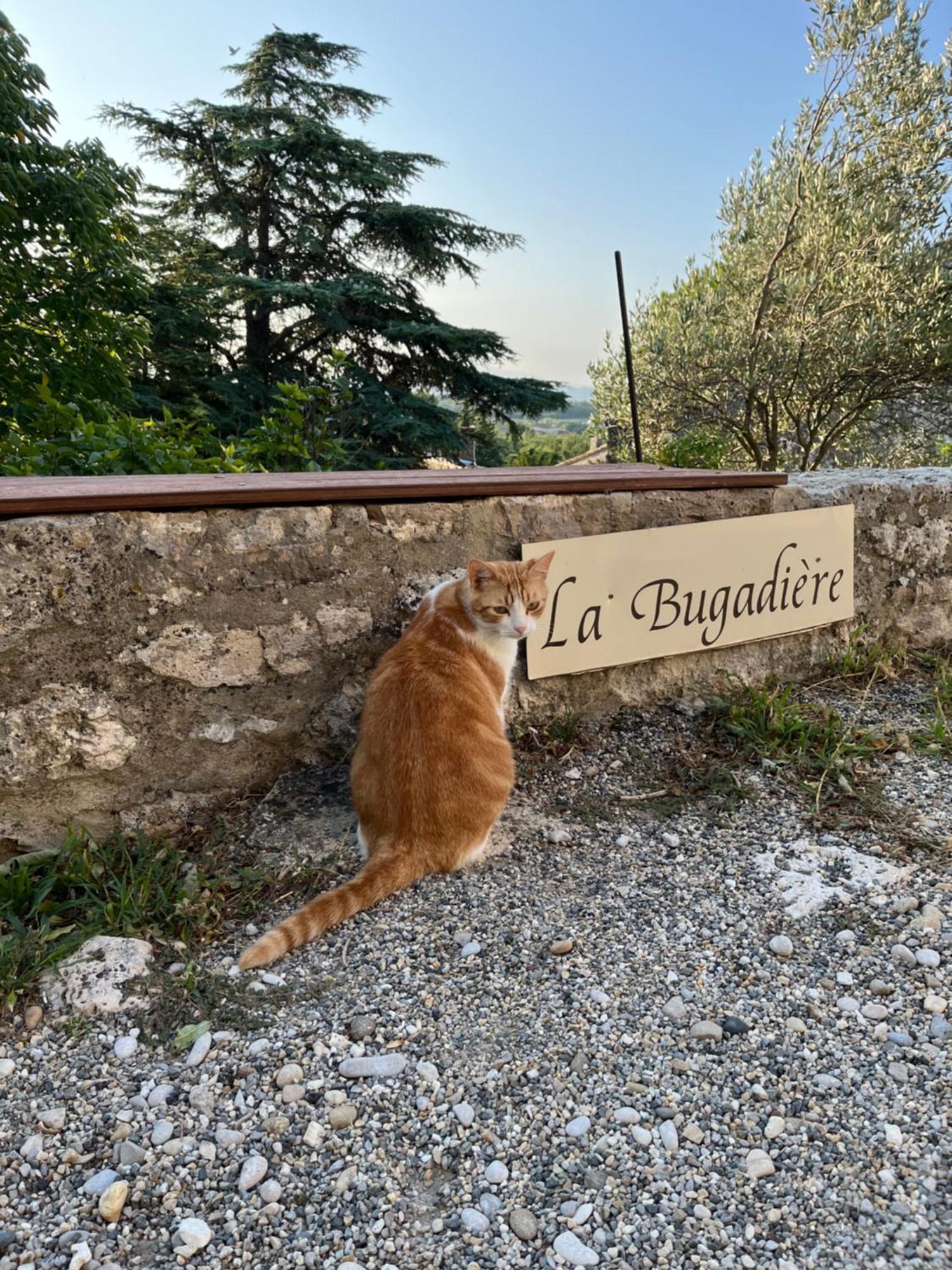 La Bugadiere Salles-sous-Bois Dış mekan fotoğraf