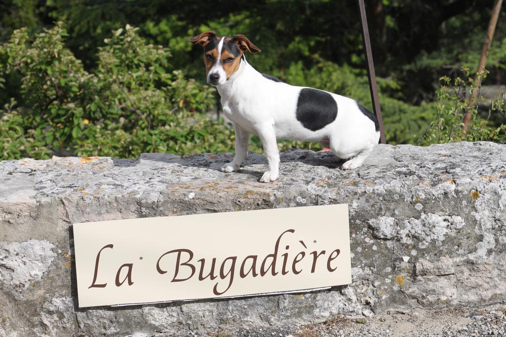 La Bugadiere Salles-sous-Bois Dış mekan fotoğraf